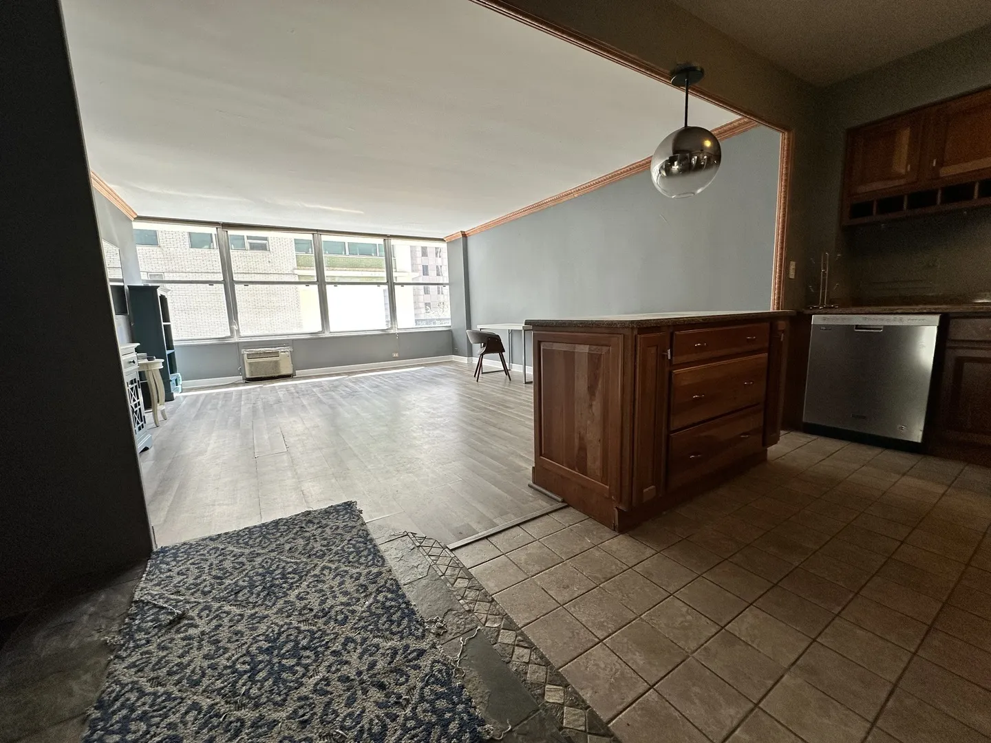 1000 N Lake Shore Drive 1007 IL
