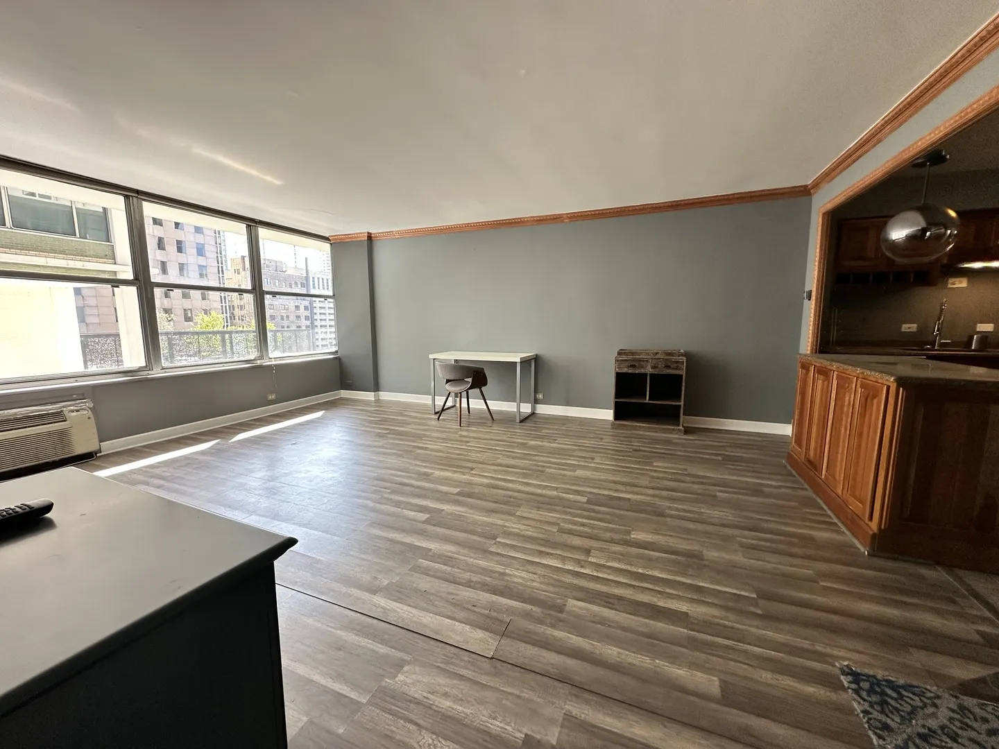 1000 N Lake Shore Drive 1007 IL