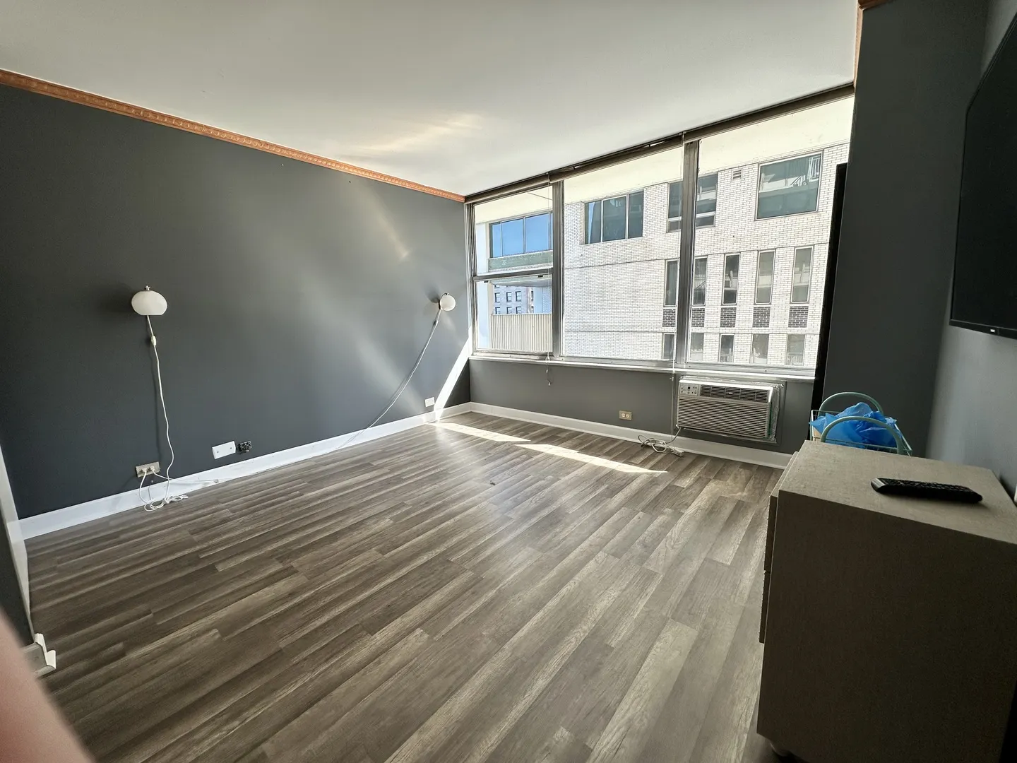 1000 N Lake Shore Drive 1007 IL