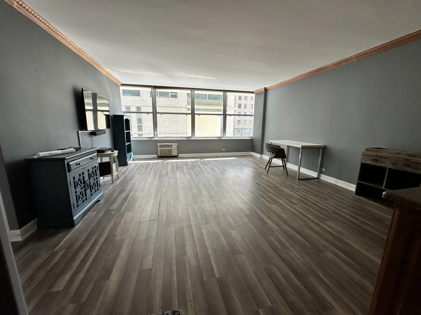 1000 N Lake Shore Drive 1007 IL