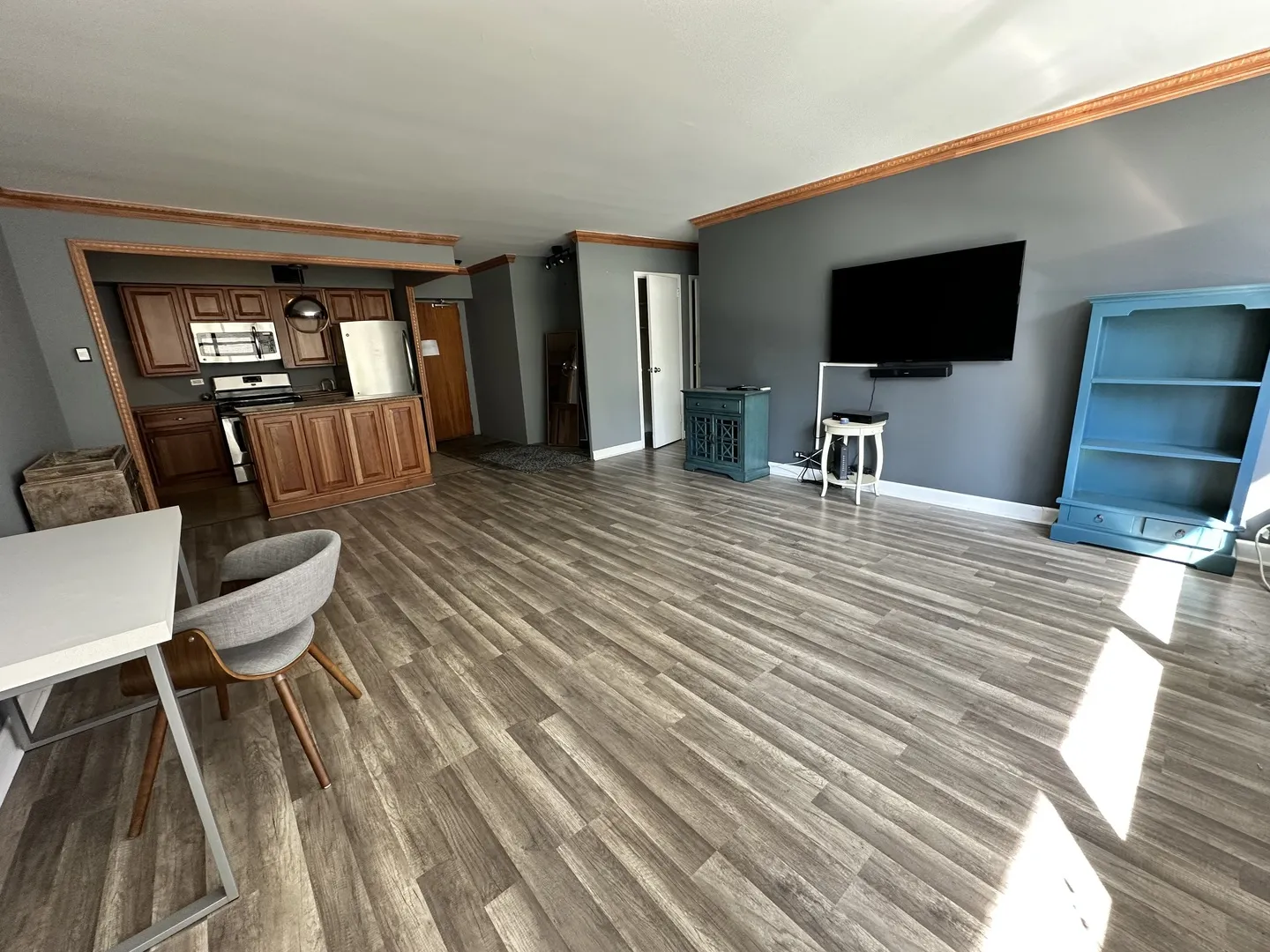 1000 N Lake Shore Drive 1007 IL