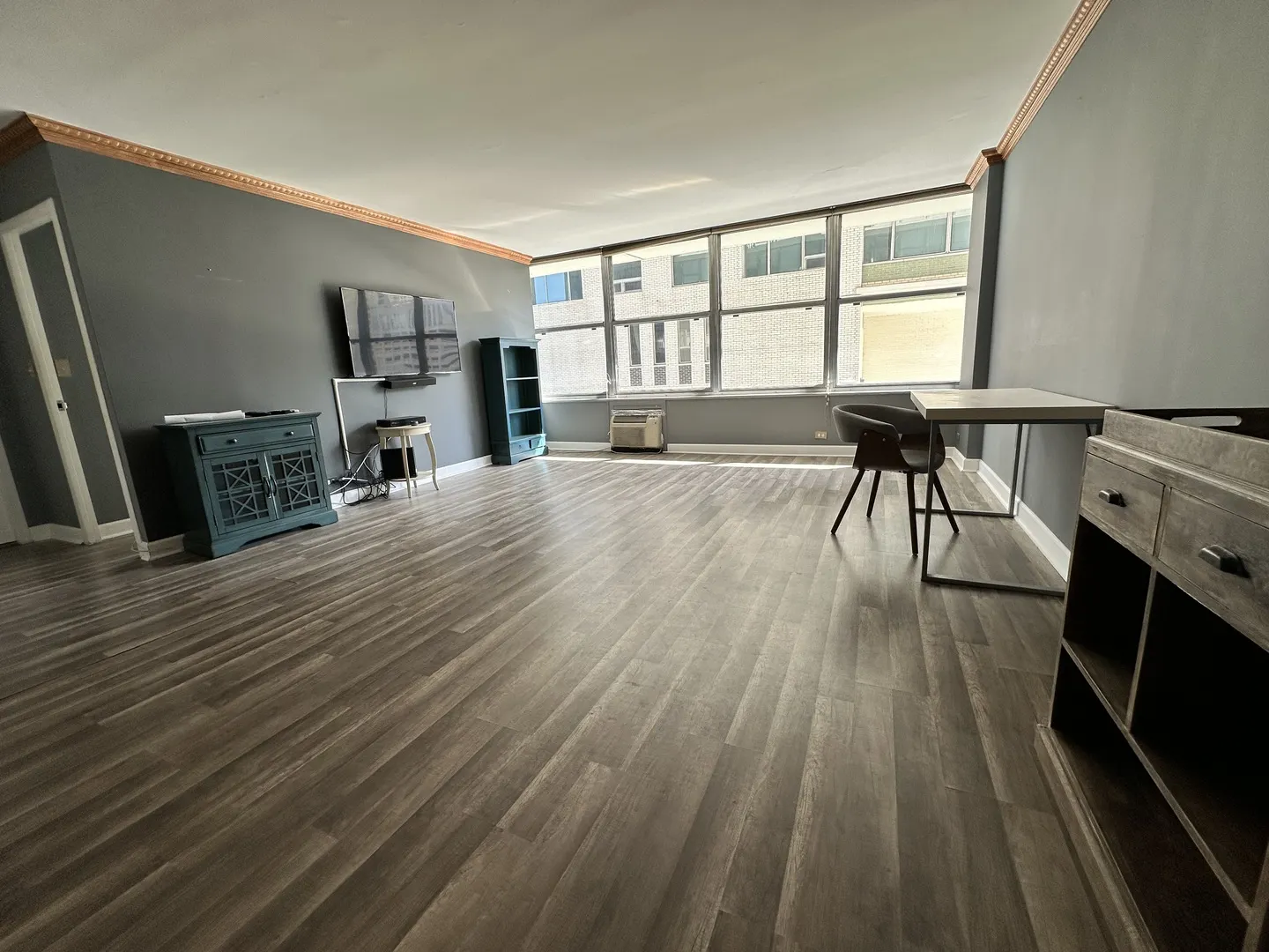 1000 N Lake Shore Drive 1007 IL
