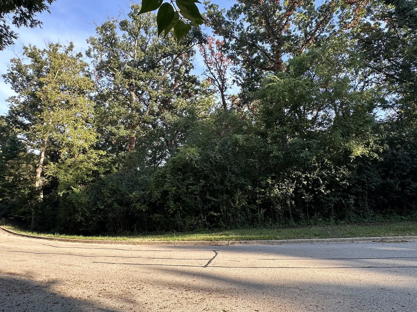 7319 Forest Oak Drive IL