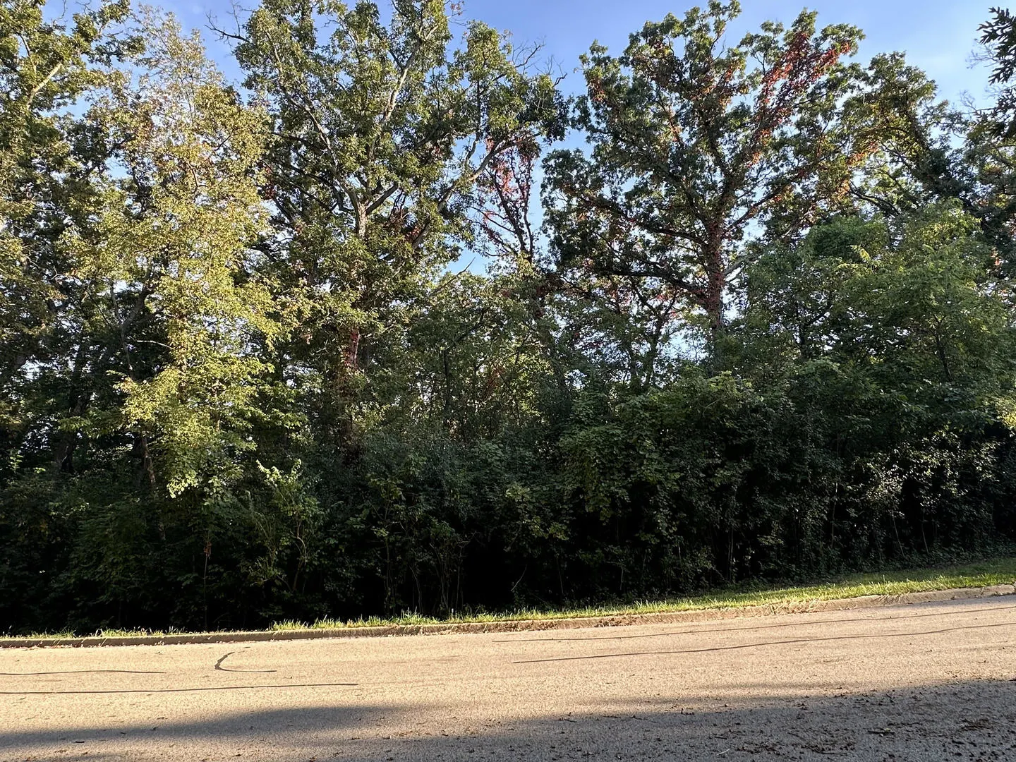 7319 Forest Oak Drive IL