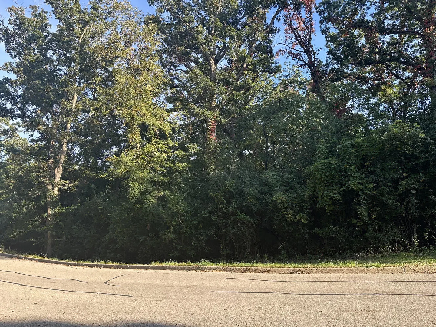 7319 Forest Oak Drive IL