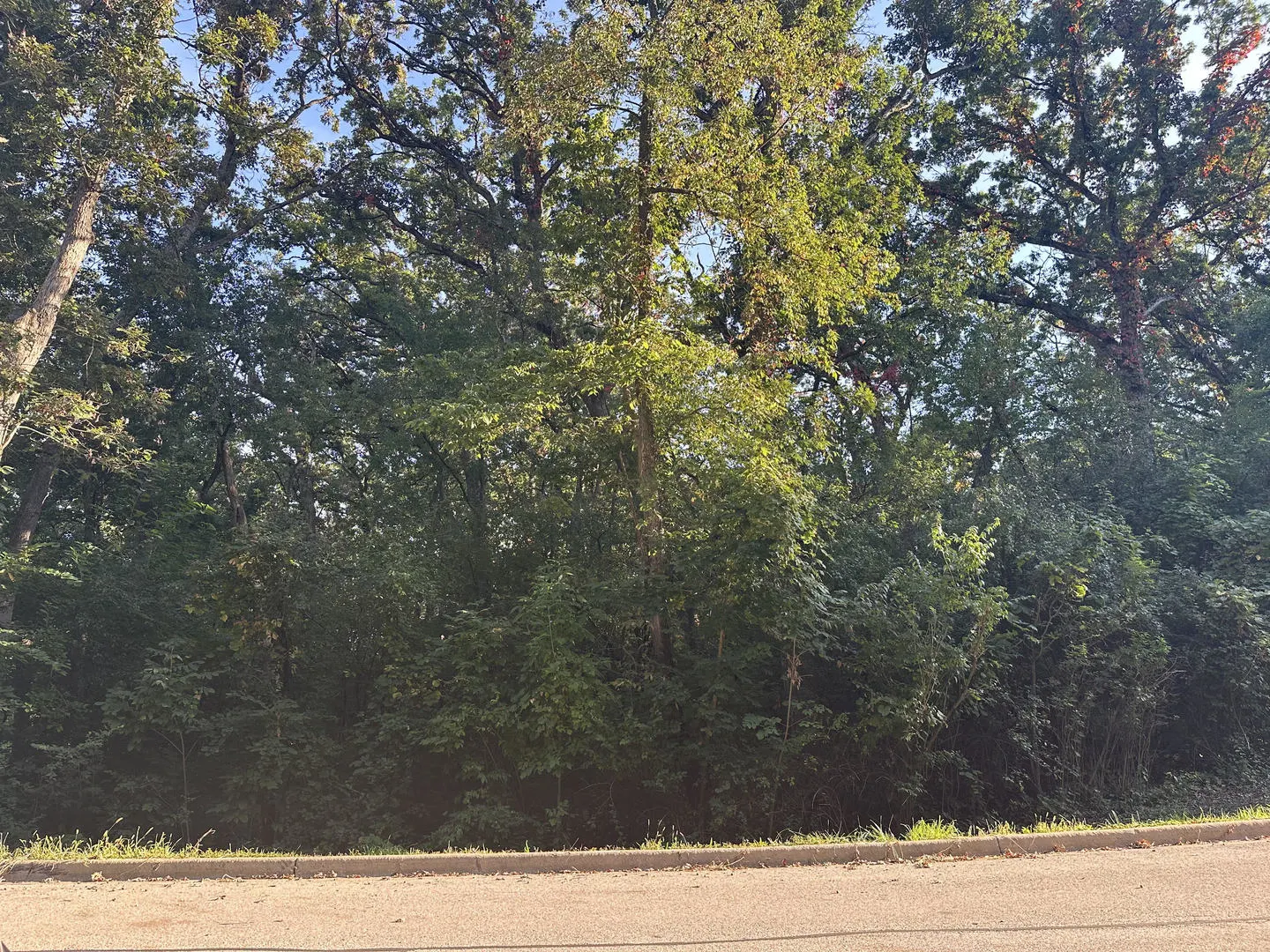 7319 Forest Oak Drive IL