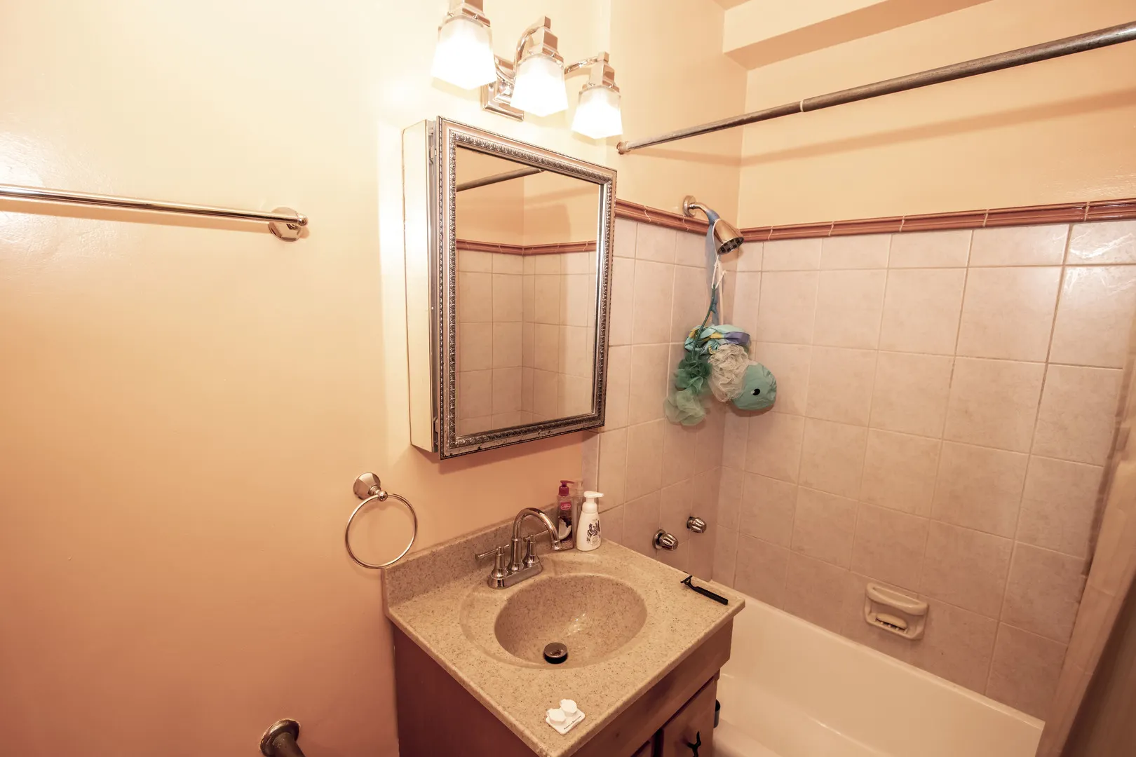 7363 S South Shore Drive 409 IL