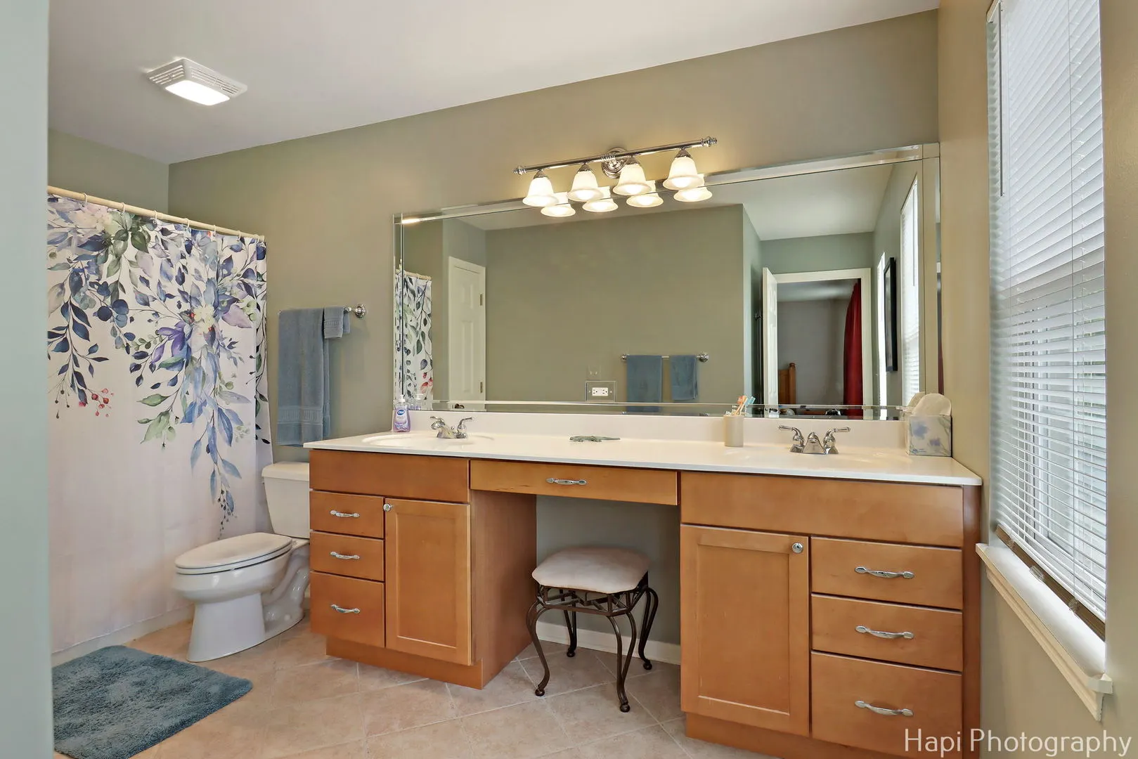 21556 W Sarah Drive IL