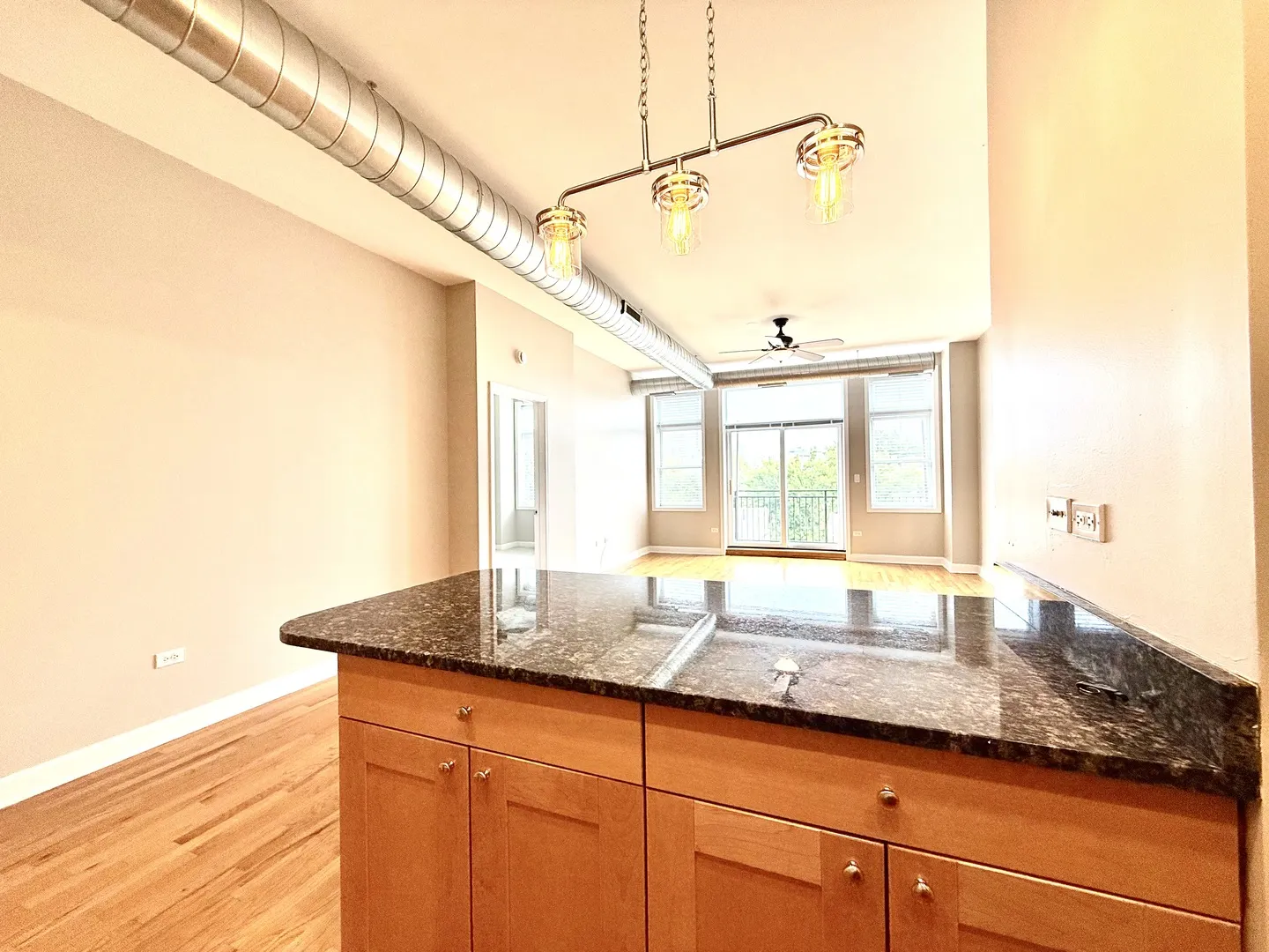 837 S Western Avenue 407 IL