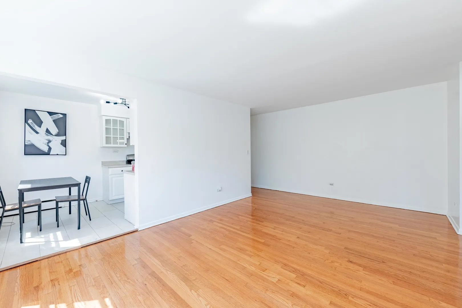 39 W Conti Parkway 1S IL