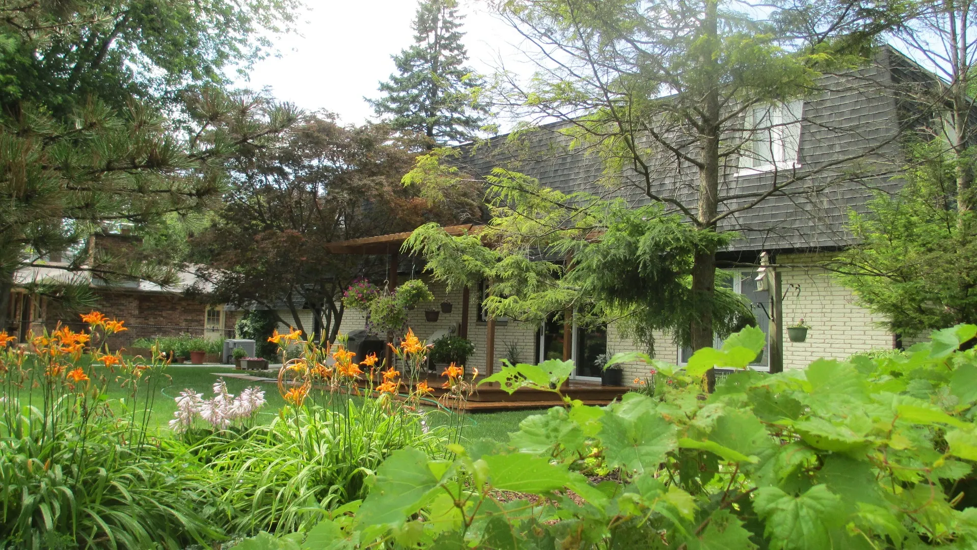 1811 E Maya Lane IL