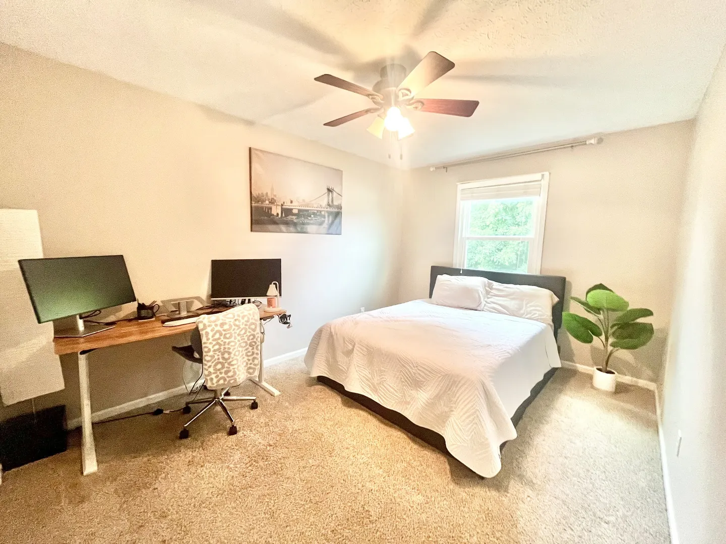 2216 Woodhavens Drive IL