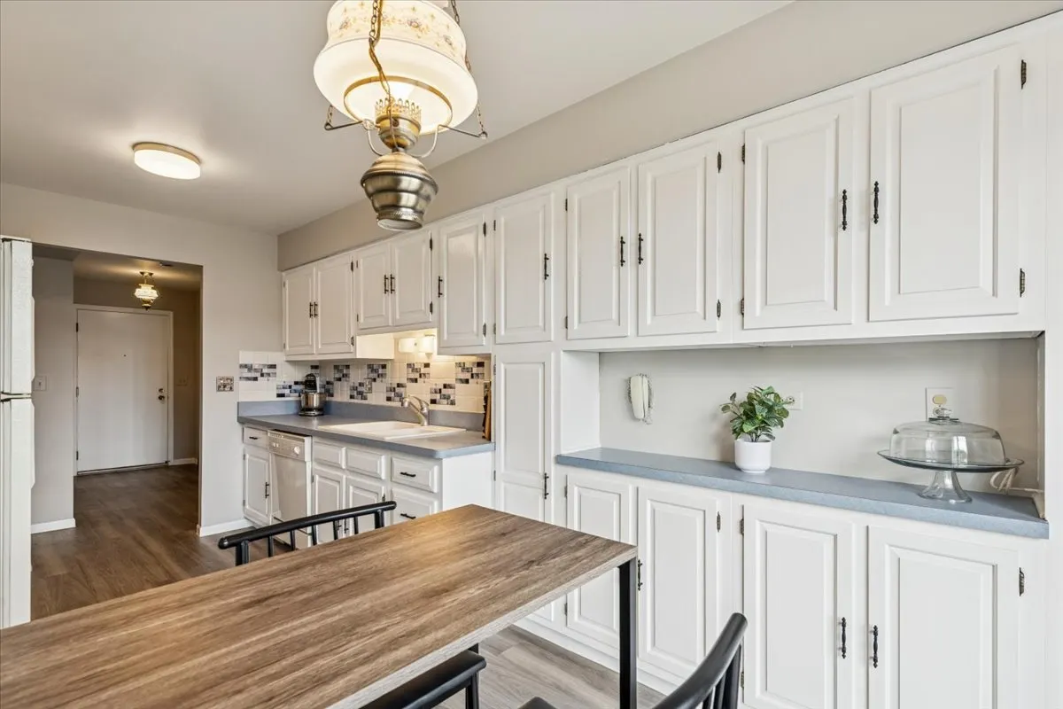 8100 W Foster Lane 410 IL