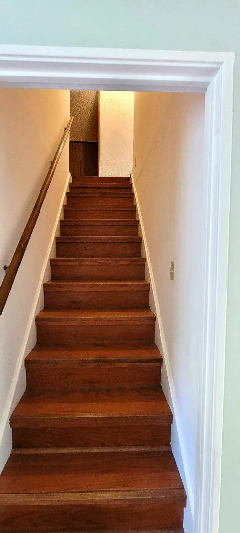 3115 Dell Place IL