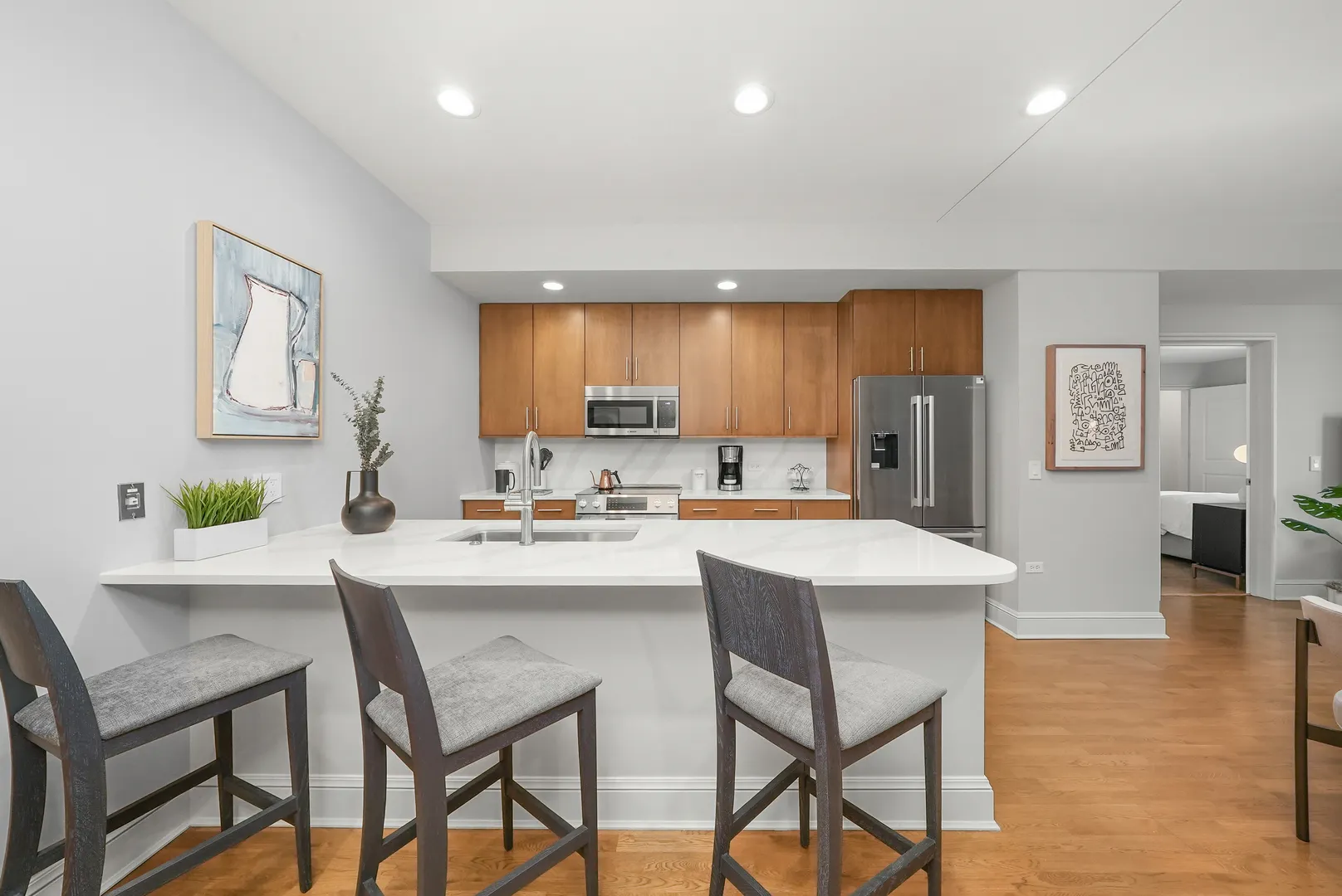 850 N Lake Shore Drive 810 IL