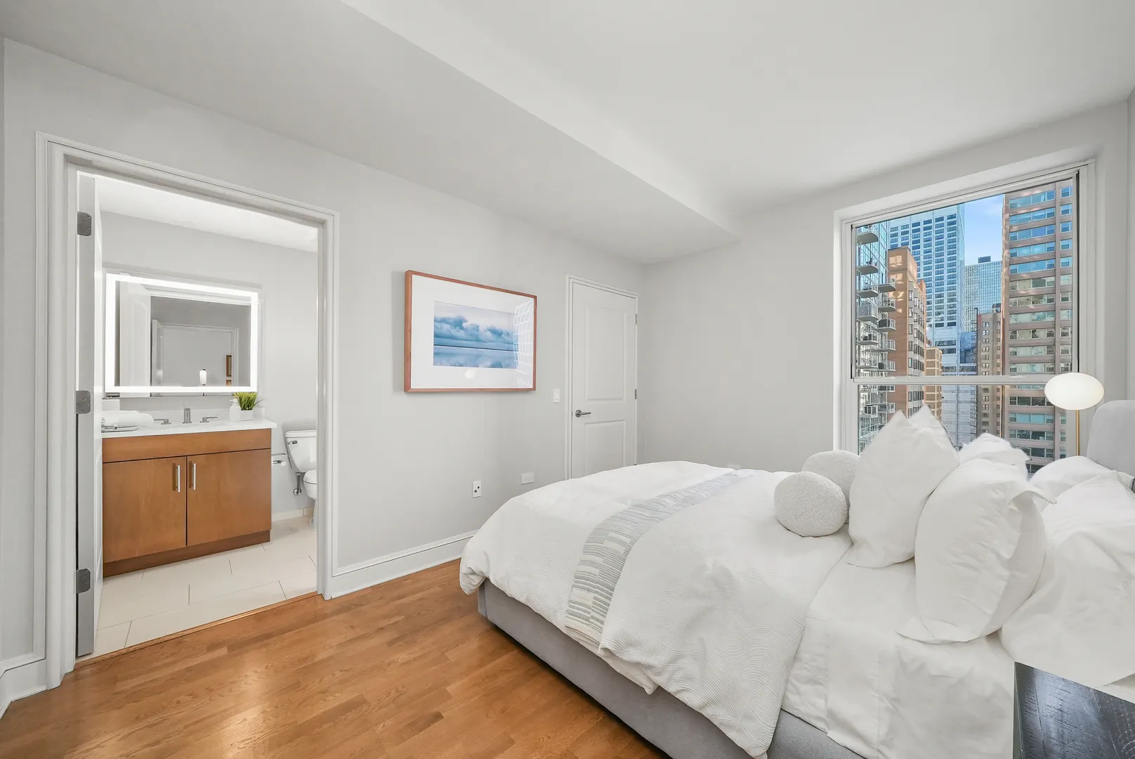 850 N Lake Shore Drive 810 IL