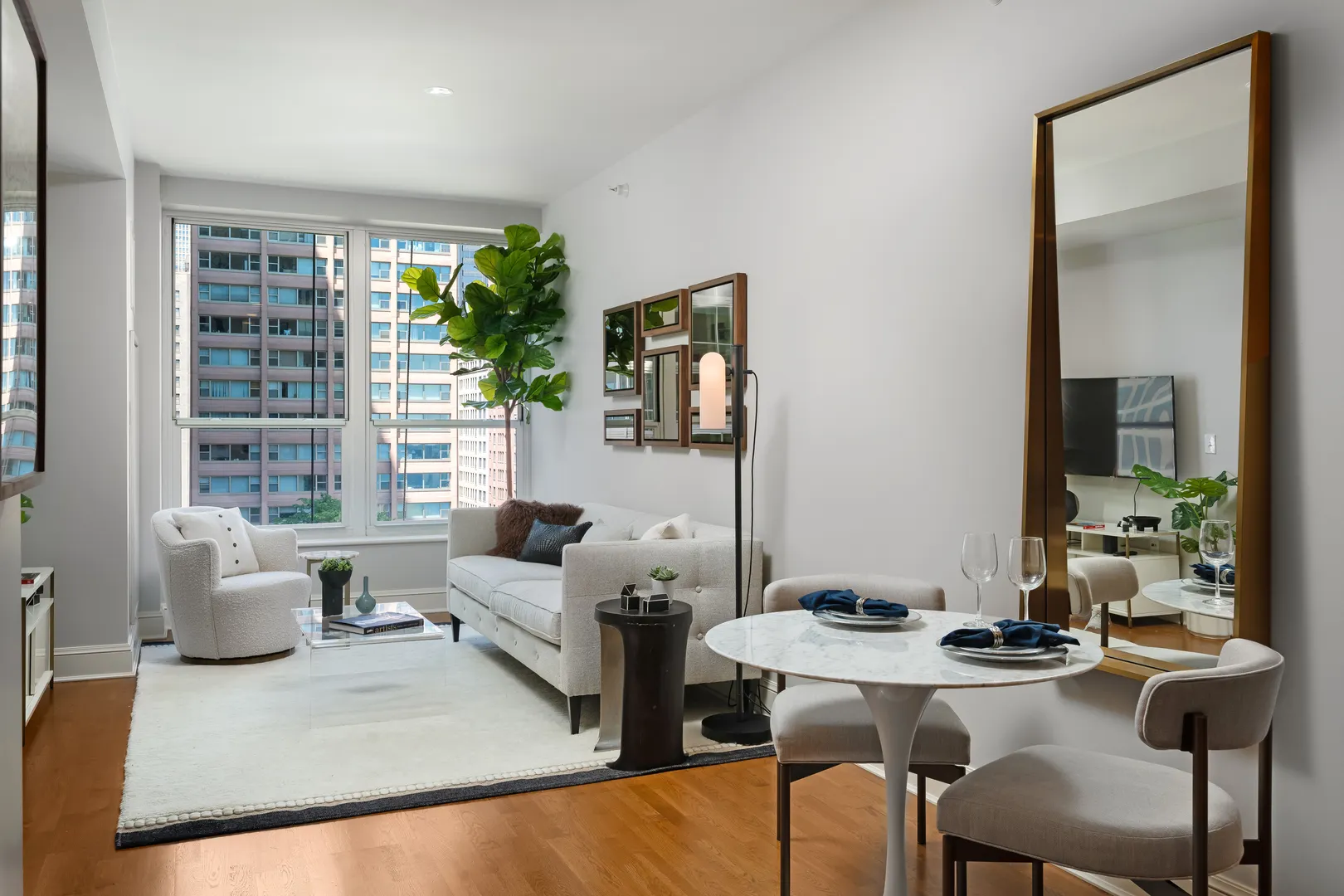 850 N Lake Shore Drive 810 IL