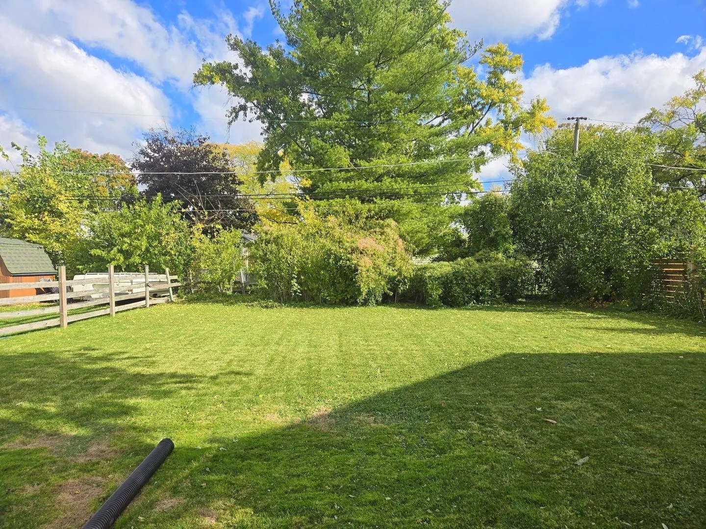 1005 S Mitchell Avenue IL