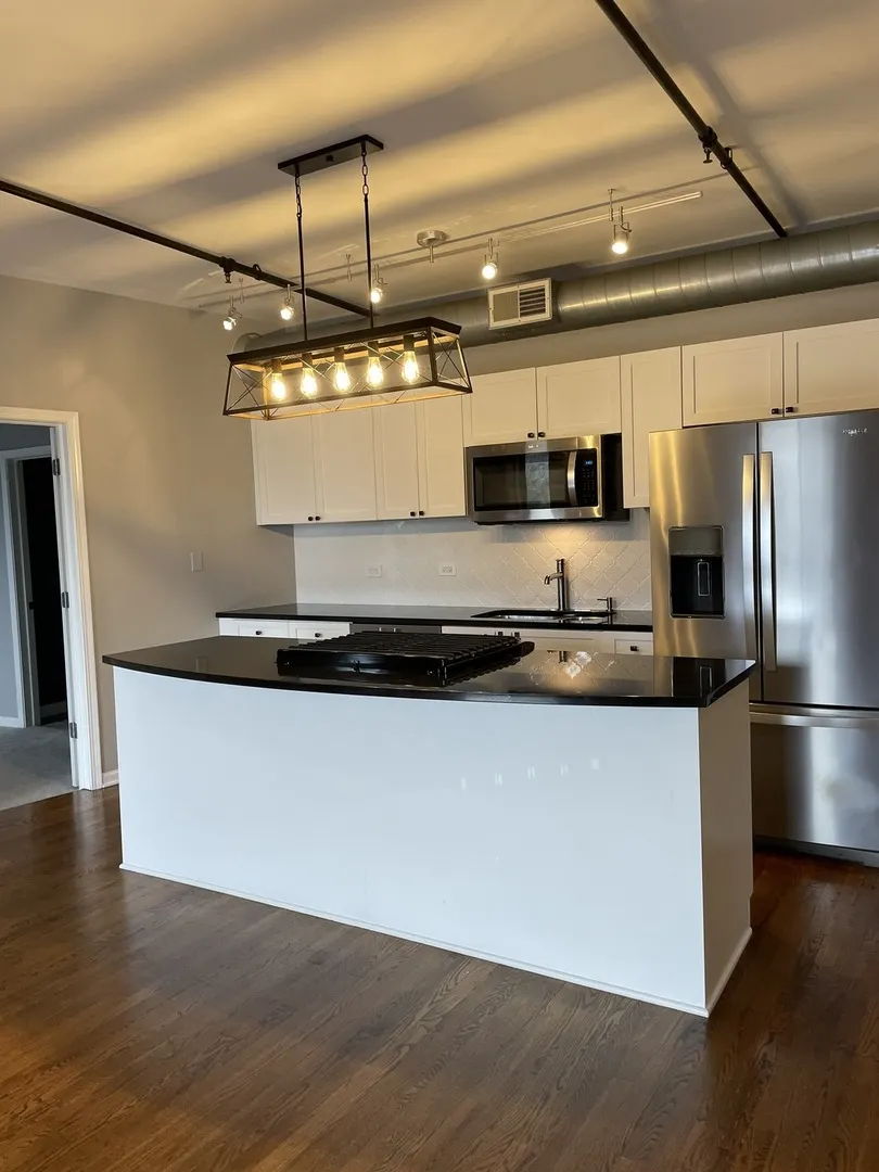1735 W Diversey Parkway 205 IL