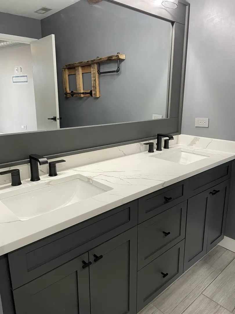1735 W Diversey Parkway 205 IL