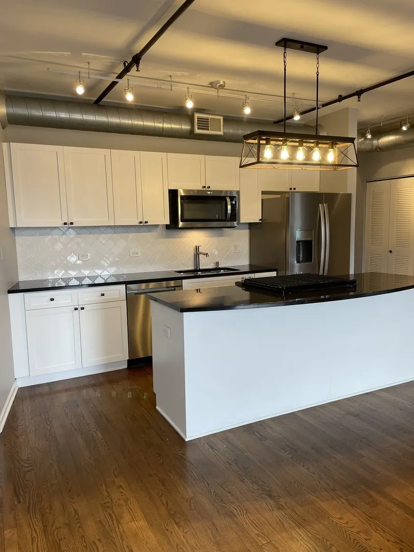 1735 W Diversey Parkway 205 IL