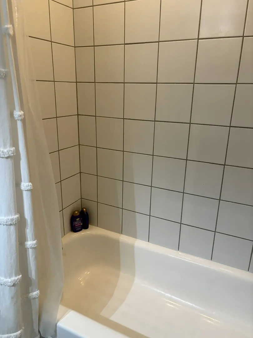1735 W Diversey Parkway 205 IL
