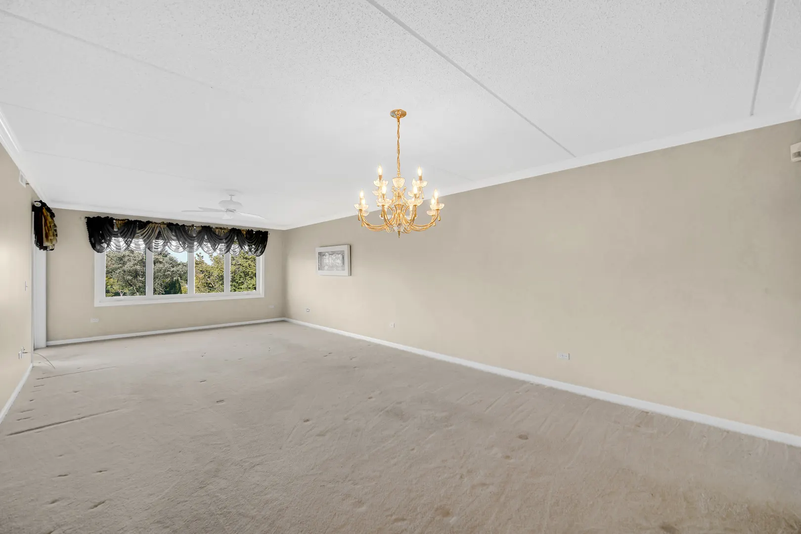 730 Creekside Drive 405C IL