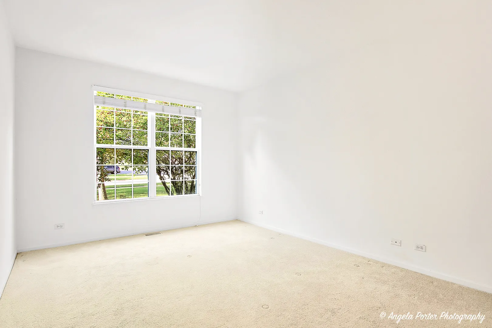4212 Savoy Lane 4212 IL