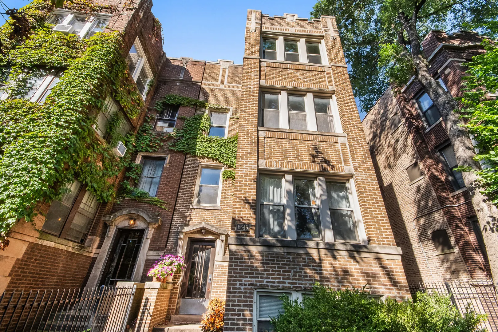 6646 N Ashland Avenue 3 IL