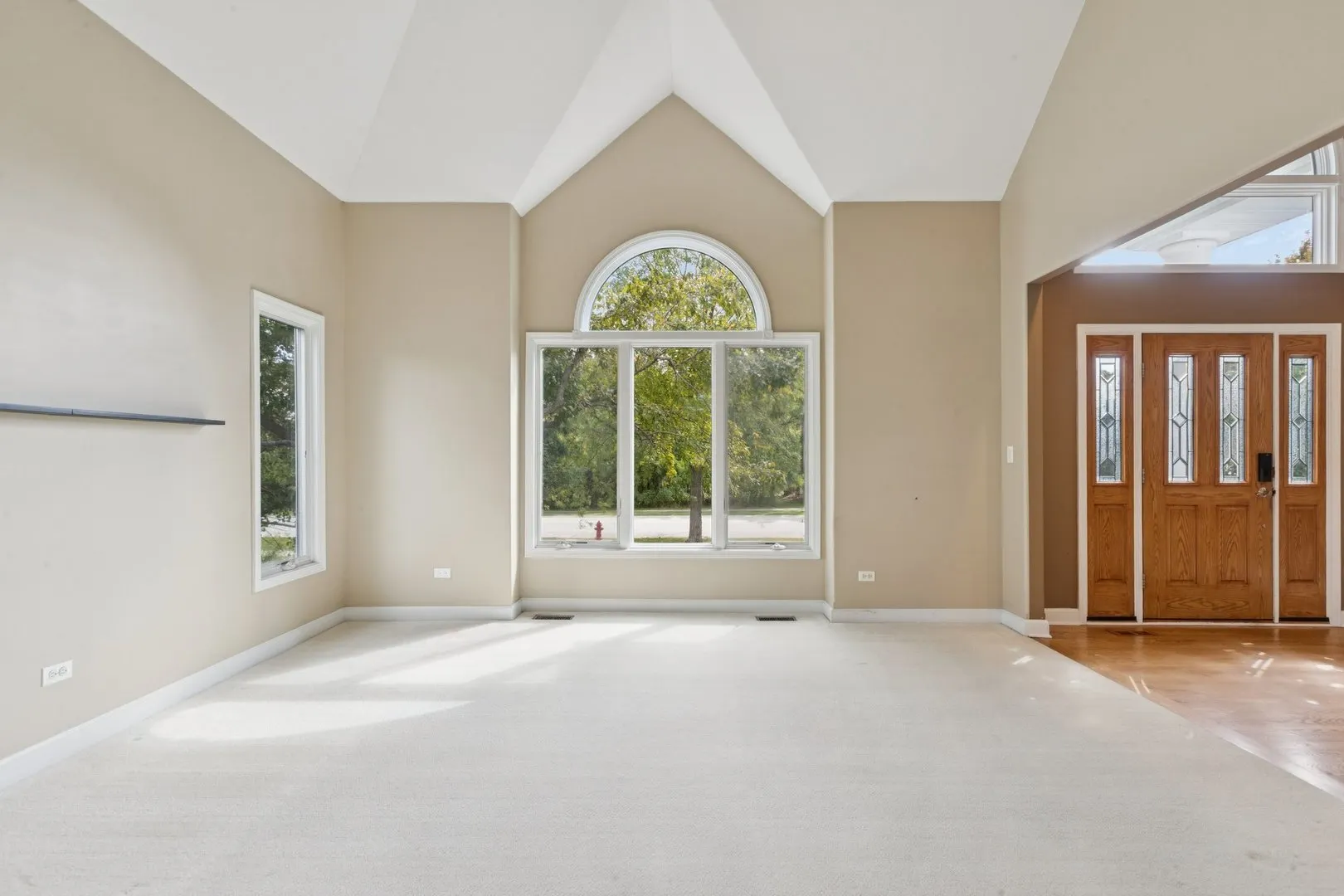841 Black Walnut Drive IL