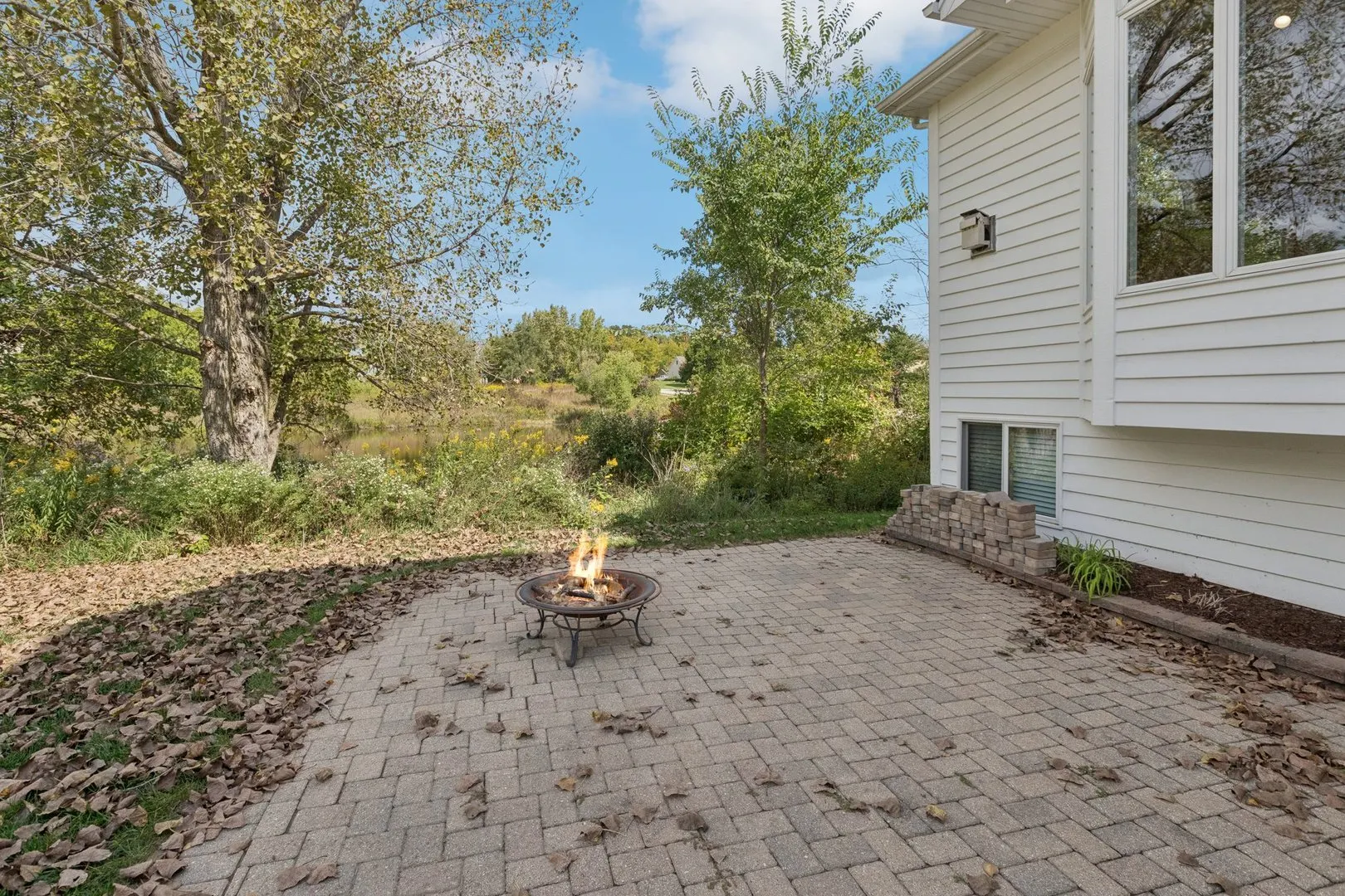 841 Black Walnut Drive IL
