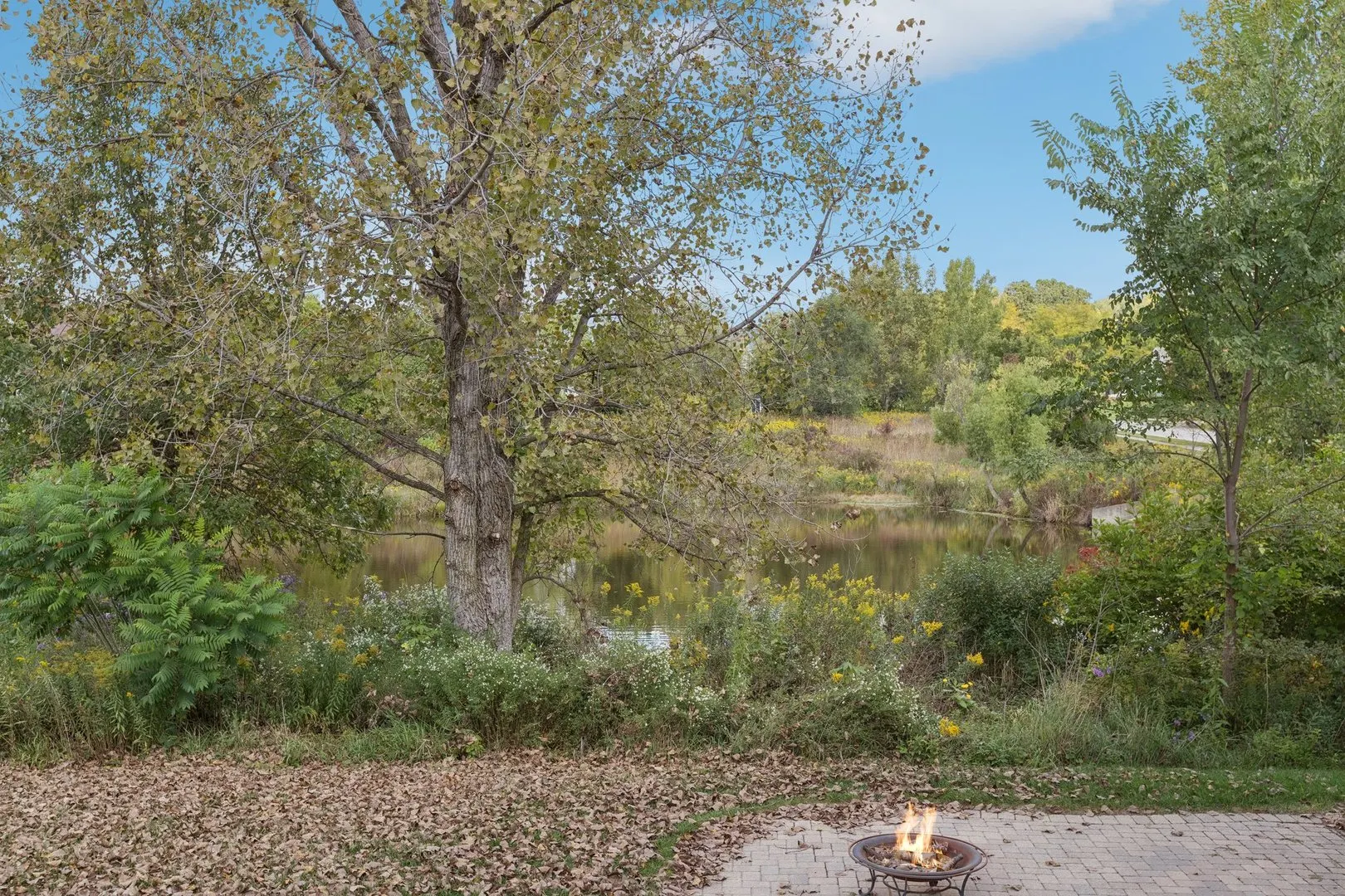 841 Black Walnut Drive IL