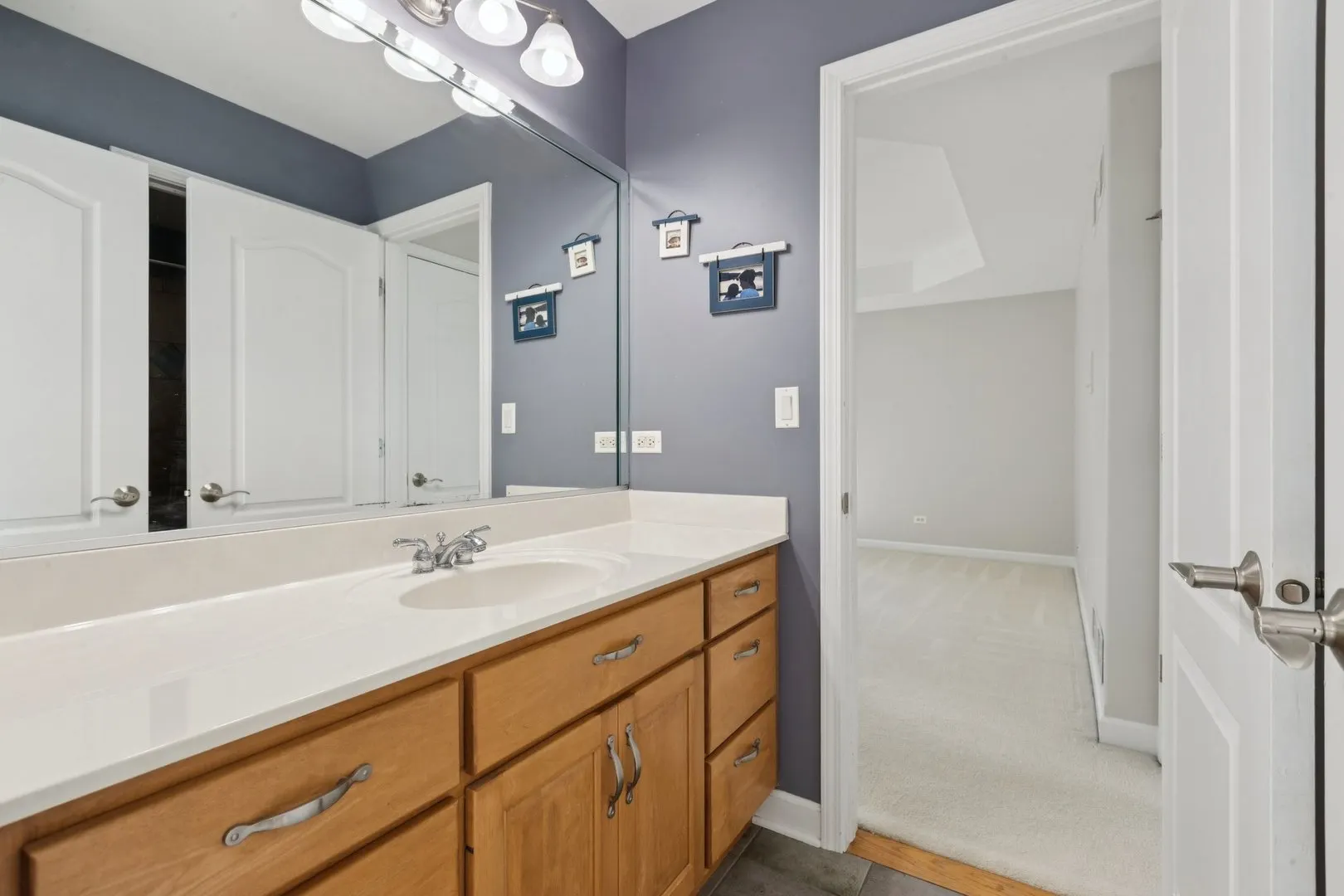 841 Black Walnut Drive IL