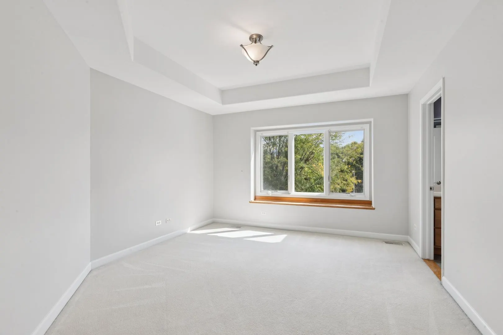 841 Black Walnut Drive IL