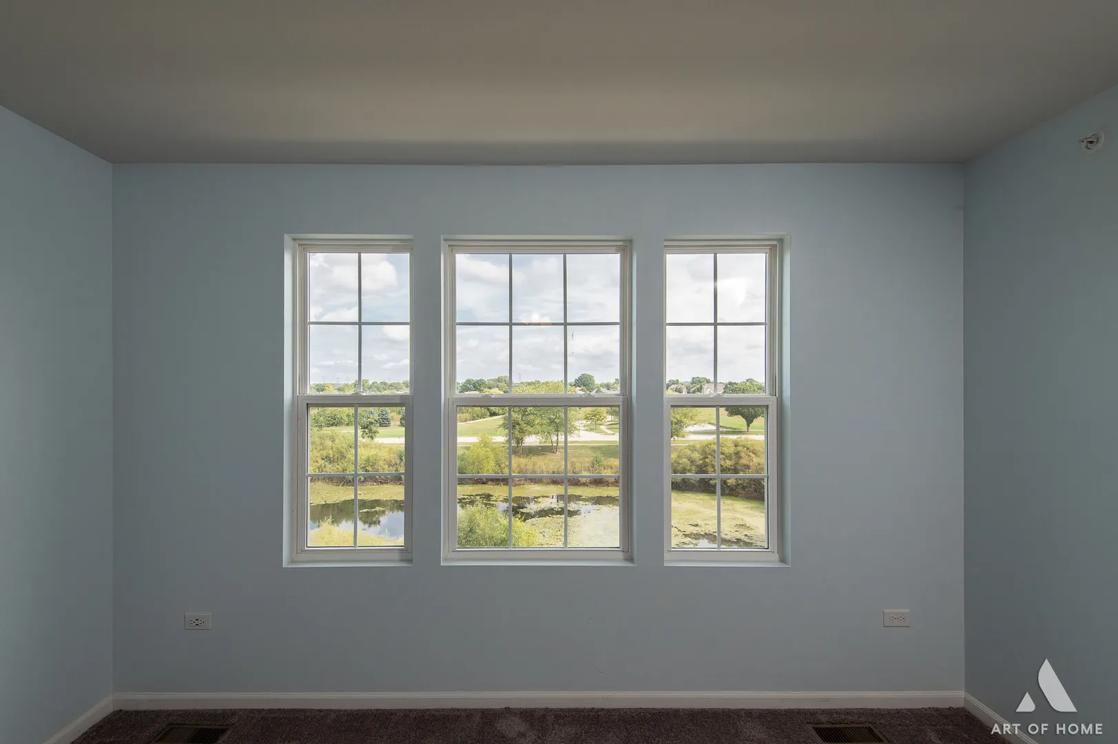 14017 S Belmont Drive IL