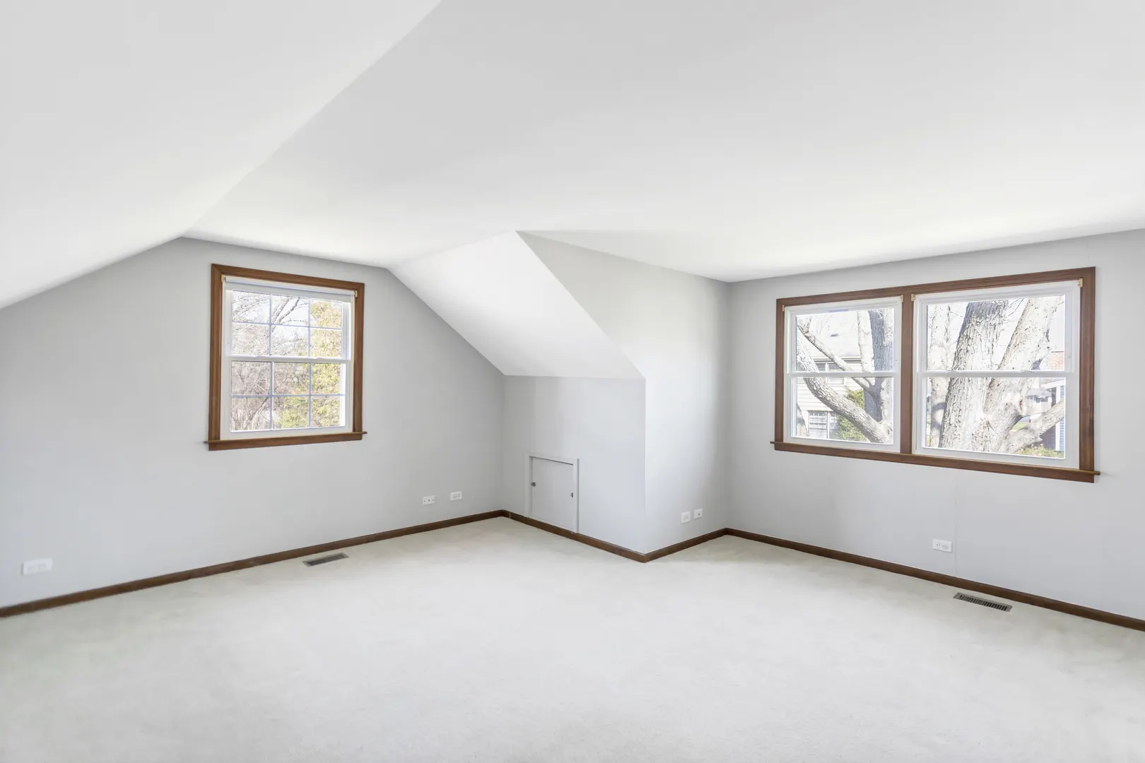 915 N Saratoga Drive IL