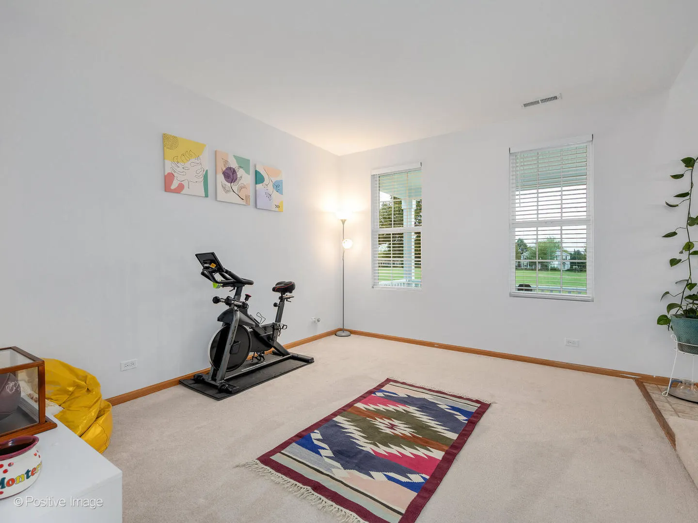 1678 WALNUT PARK Lane IL