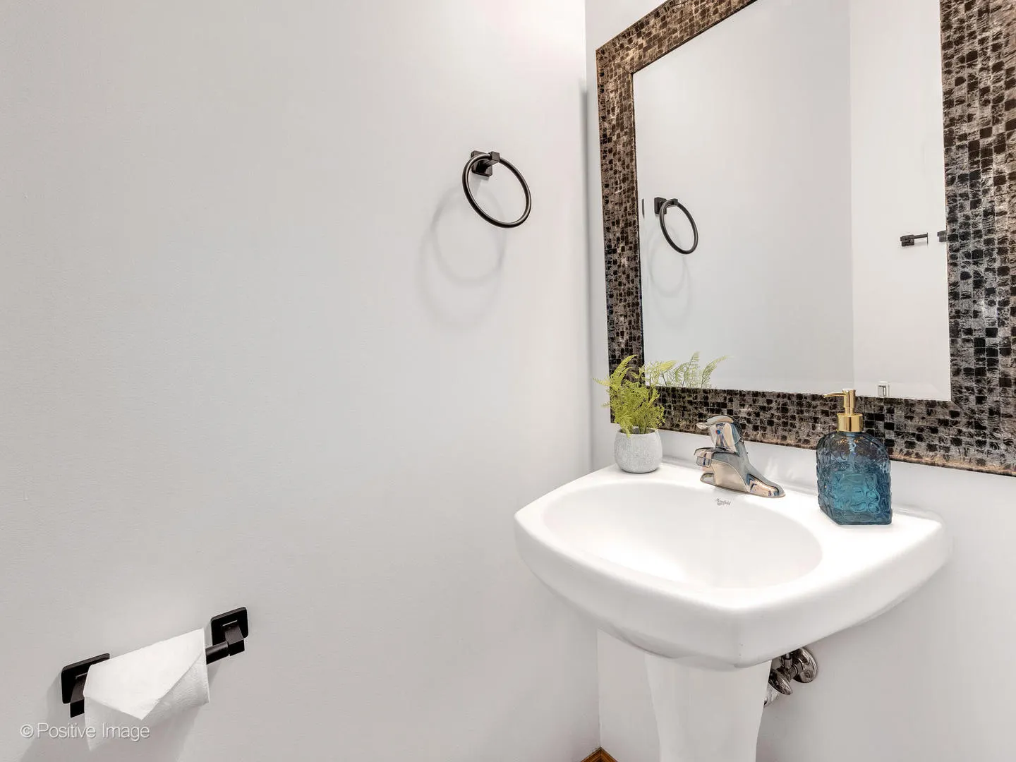 1678 WALNUT PARK Lane IL