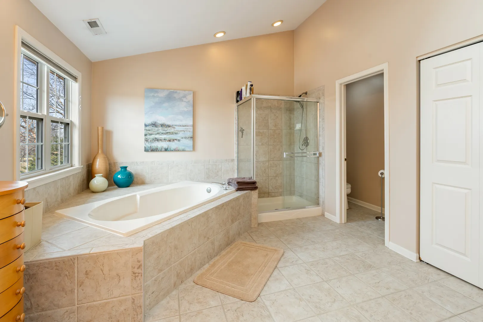 809 Magnuson Court IL