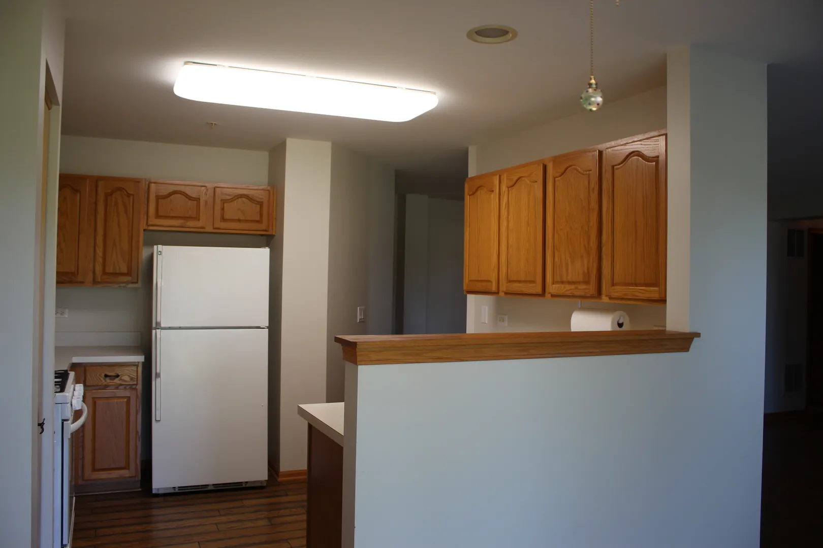 13832 S Balsam Lane D IL