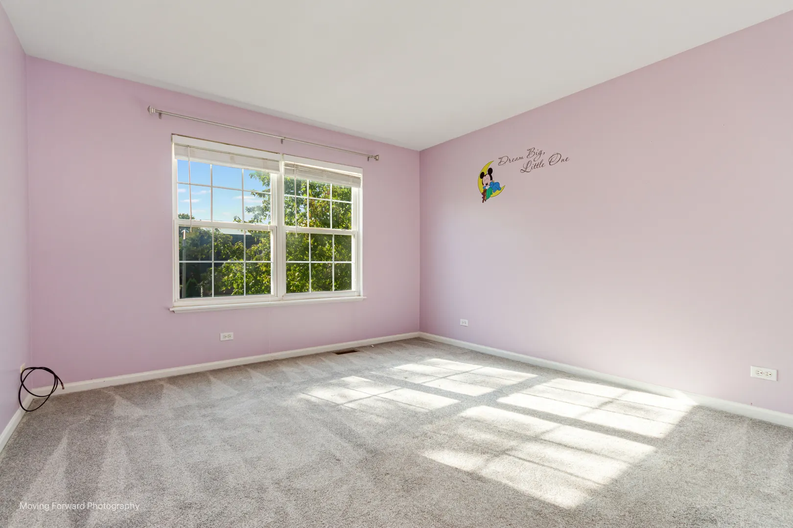 6074 Frank Drive IL