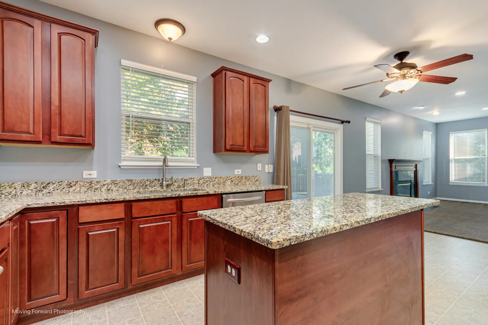 6074 Frank Drive IL