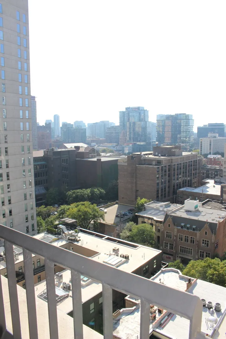 1030 N State Street 10M IL