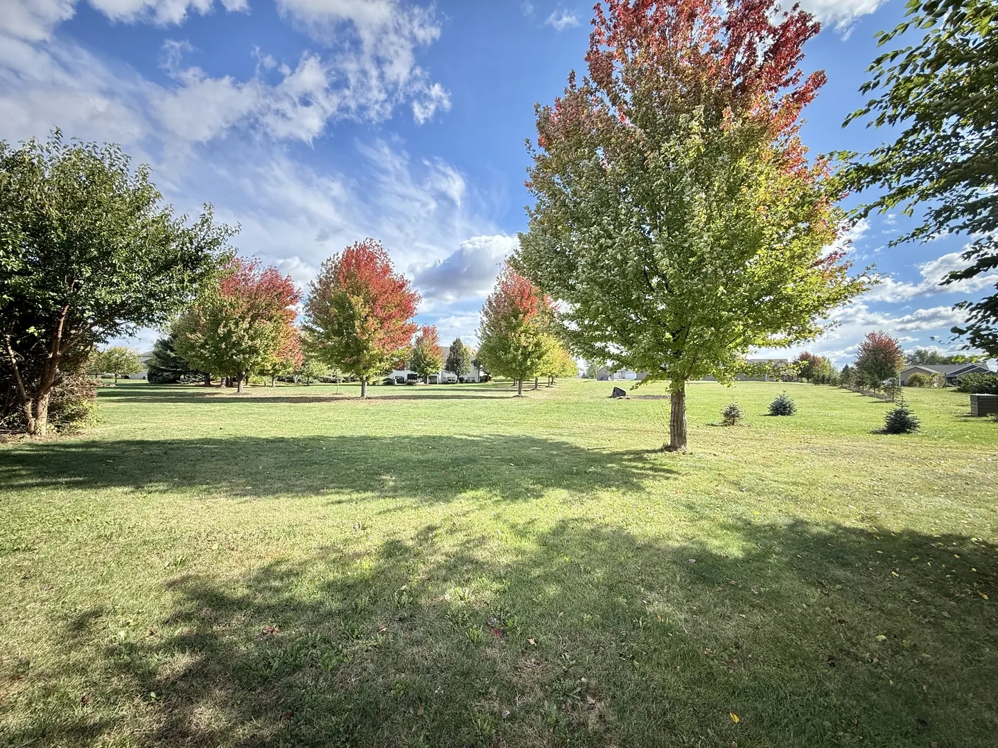 5449 S Branch Court IL