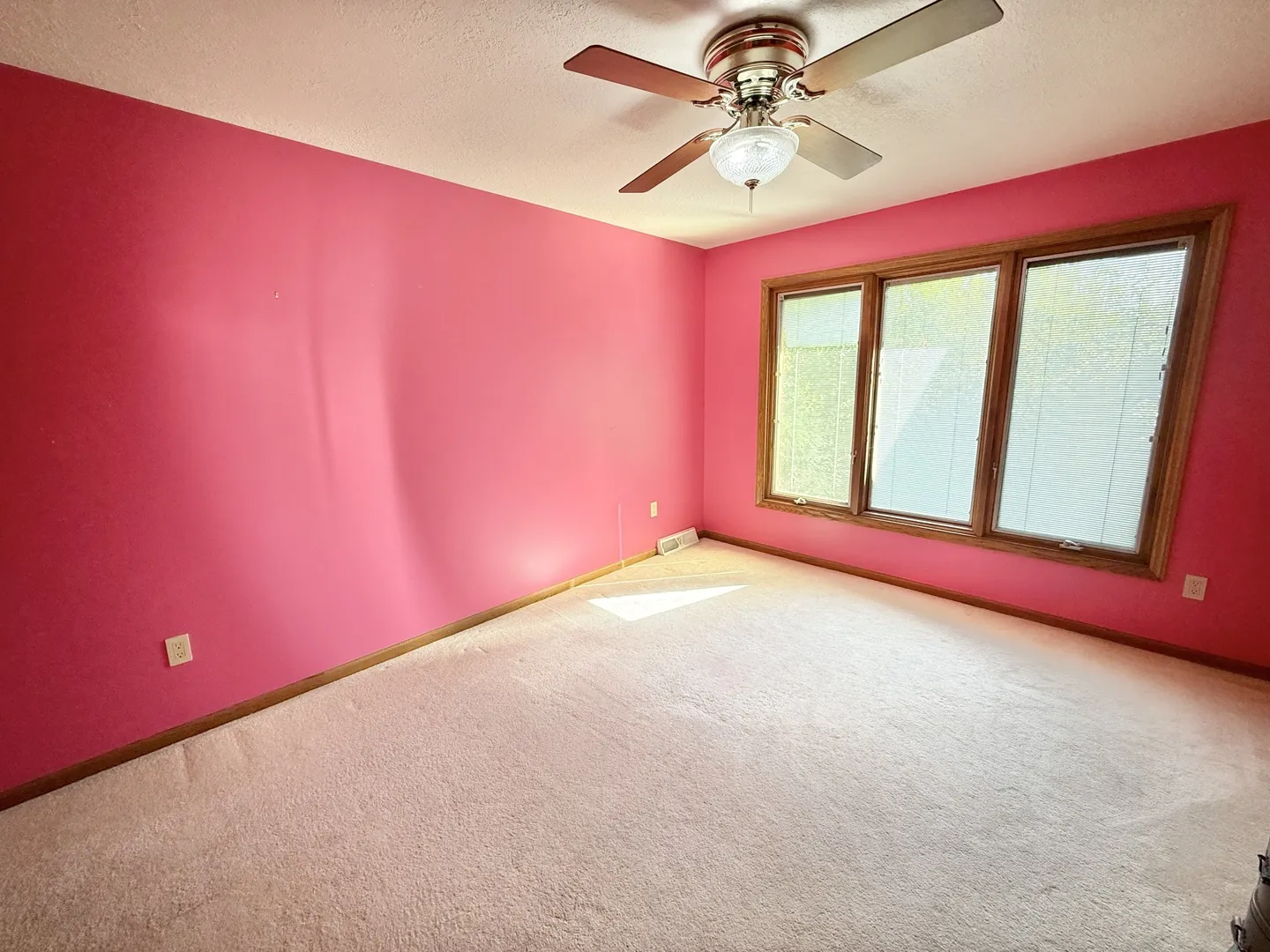 5449 S Branch Court IL
