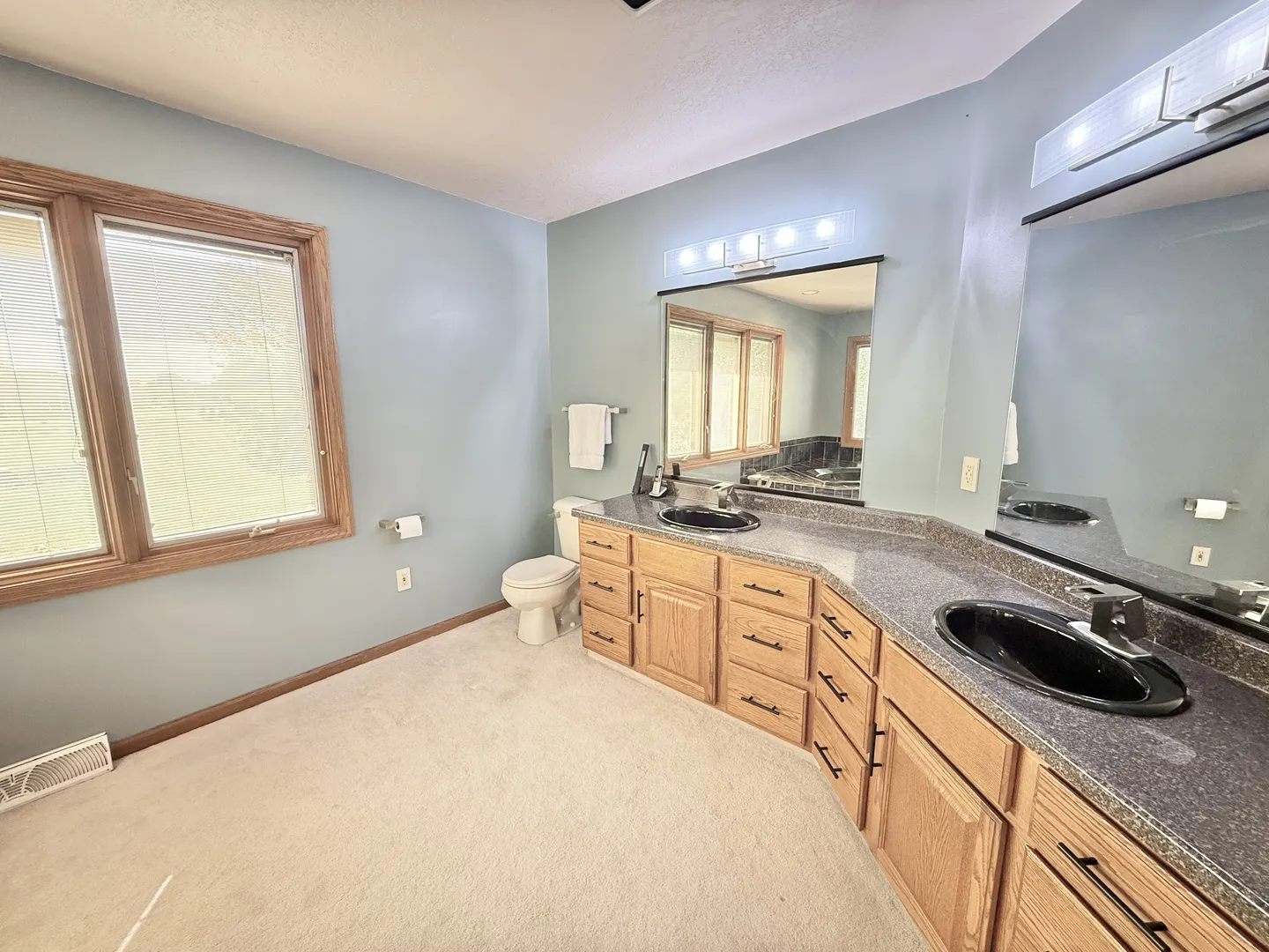 5449 S Branch Court IL