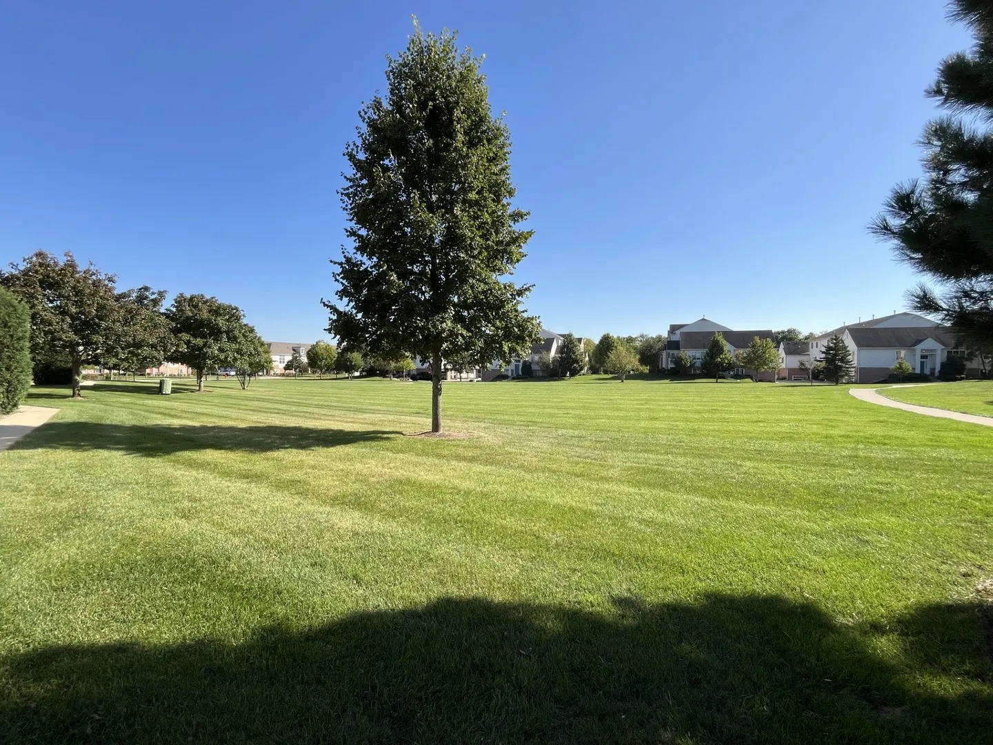 4237 Savoy Lane 4237 IL