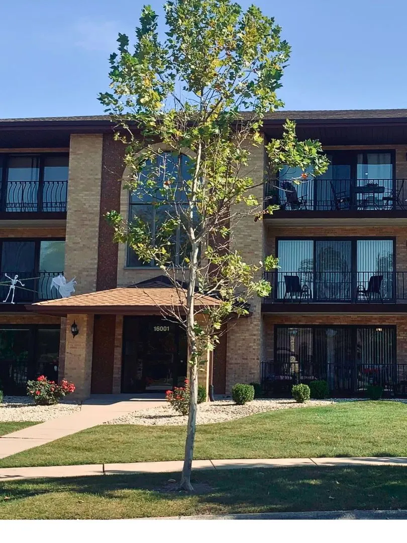 16001 Eagle Ridge Drive 1S IL