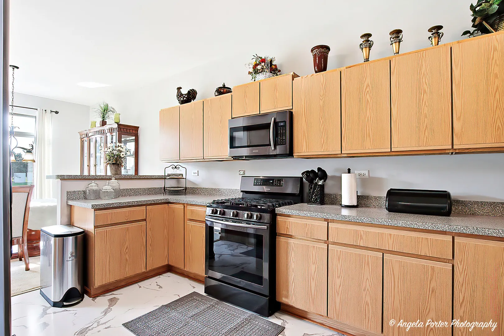 2810 Cattail Court B IL