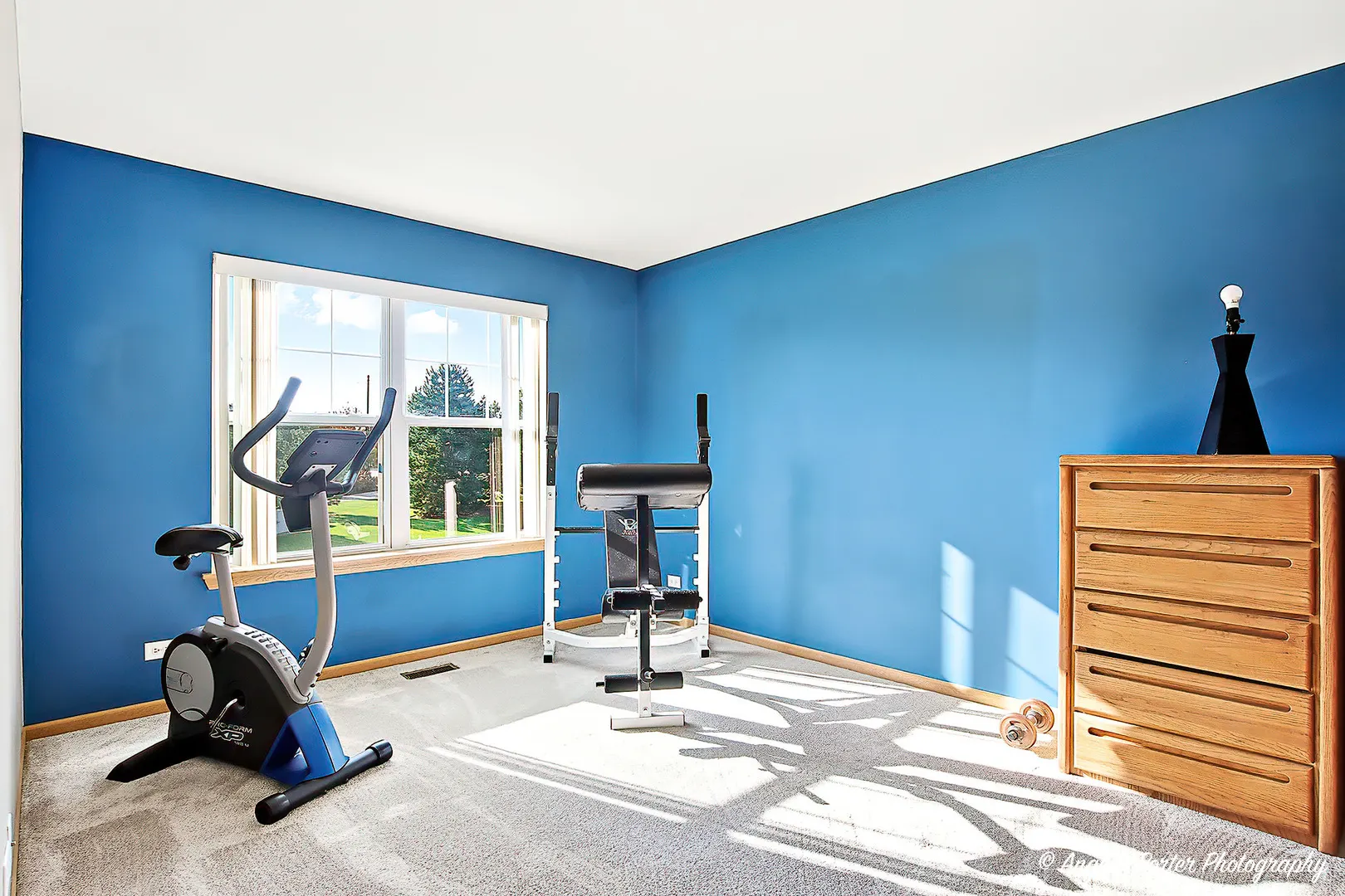 2810 Cattail Court B IL